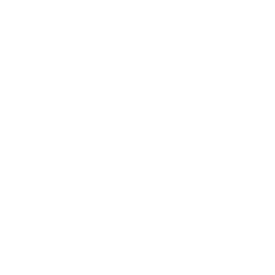 100% digitaal